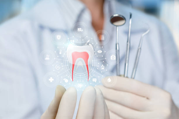 Best Traditional Braces  in Plant City, FL
